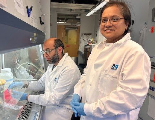 UMass Lowell Research (@umlresearch) on Twitter photo Omega-3 fatty acids fight inflammation, boost brain #health, & protect the heart. <a href="/UML_ZCHS/">UML Zuckerberg College of Health Sciences</a> Assoc. Prof. Kelsey Mangano & team received a $900K grant to develop probiotics to boost omega-3 production in the body, potentially benefiting military personnel: buff.ly/3AGtwpP Omega-3 fatty acids fight inflammation, boost brain #health, & protect the heart. <a href="/UML_ZCHS/">UML Zuckerberg College of Health Sciences</a> Assoc. Prof. Kelsey Mangano & team received a $900K grant to develop probiotics to boost omega-3 production in the body, potentially benefiting military personnel: buff.ly/3AGtwpP