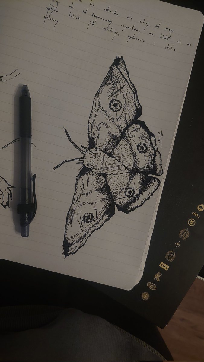 never120ms's tweet photo. 🦋

#draw #sketch #butterfly https://t.co/oO3varBSFq