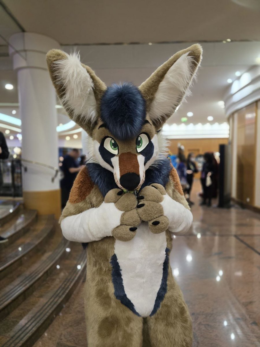 Ears pricked, target locked, ready for some shenanigans 
#Furry #Fursuit #FursuitFriday #FBL12

📸 <a href="/adra_fur/">Vay</a> 
🪡 @/nukecreations