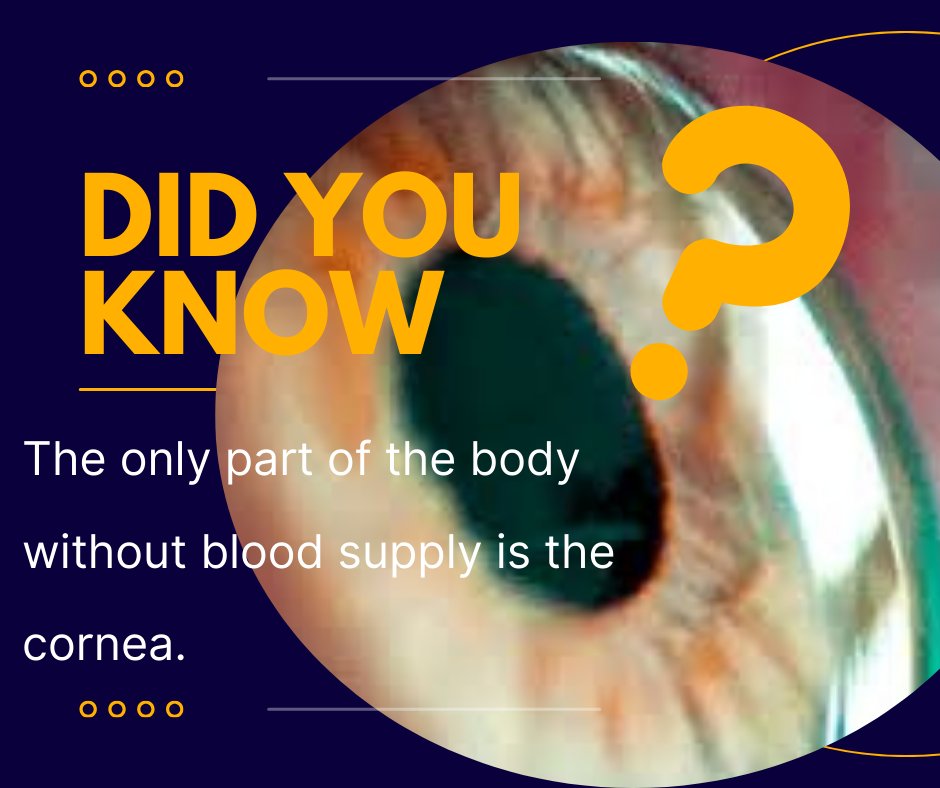 drpenti's tweet photo. #Eyefact  #Vision #Cornea https://t.co/QvORur5vai