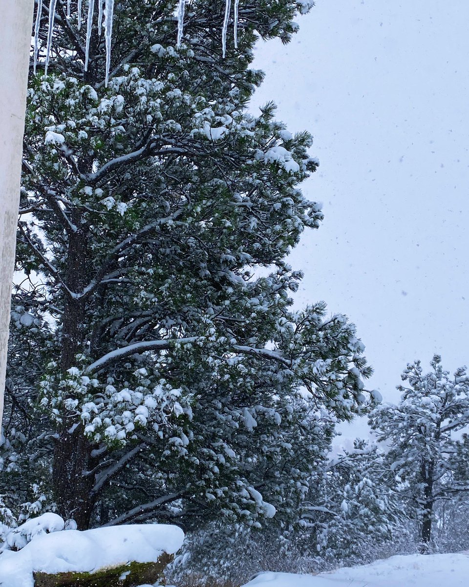 AmandaVShane1's tweet photo. This snow we’re getting is makes me feel like dragging my Christmas tree up from the basement and decorating. Is it too early? 😁⛄️❄️🌲🎄
#snowstorm #snowday https://t.co/lxT4Gn9dVb