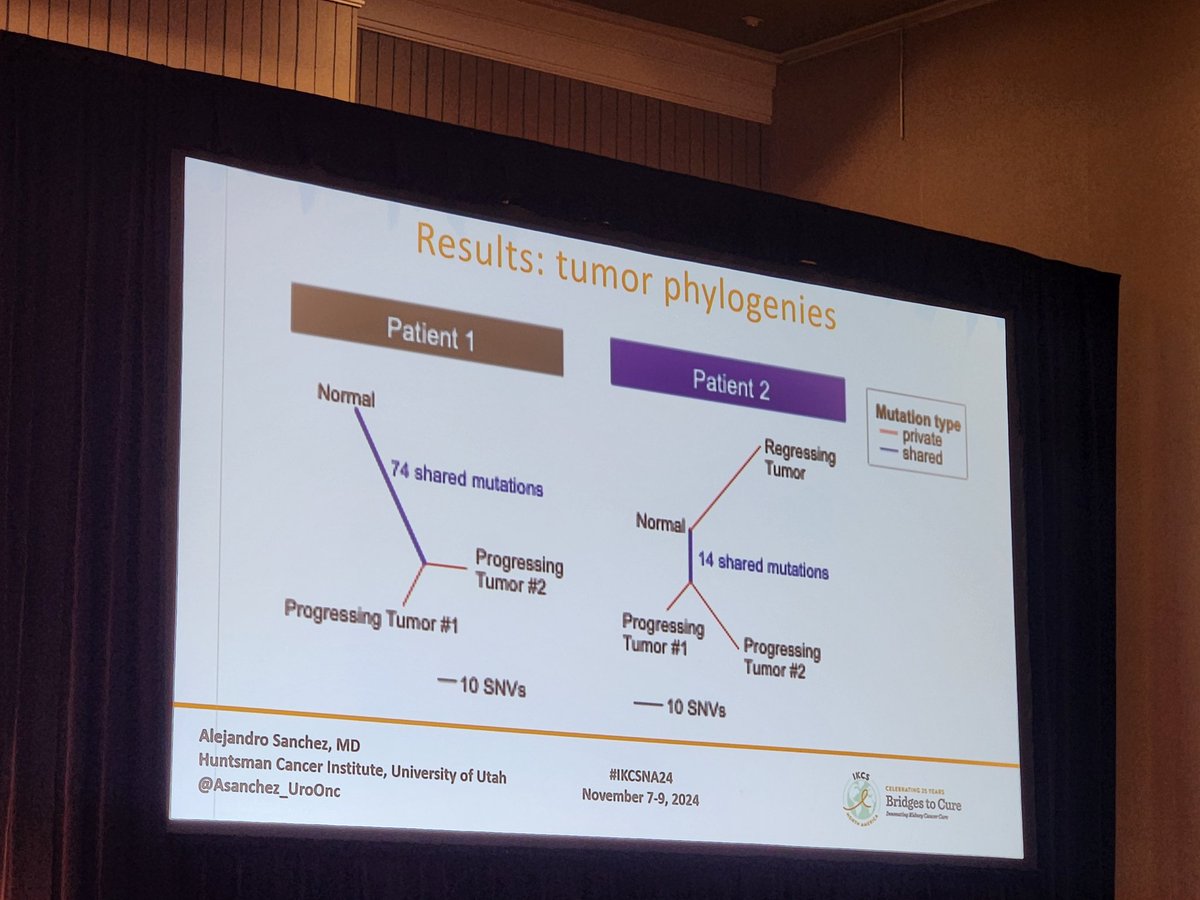 QianJanieQin's tweet image. Dr. @ASanchez_UroOnc discussing potential #clonal origin of belzutifan resistance in #VHL-associated #RCC, highlighting need for multi-institutional effort and looking for collaborators! @KidneyCancer @TiansterZhang #IKCSNA24