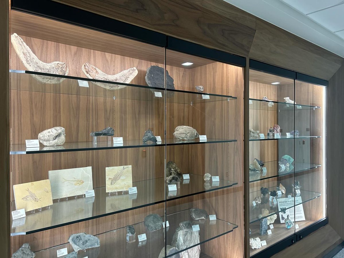 WMU_CAS's tweet image. No big deal, just hanging out with some ten million year old fossils in Dunbar Hall. 🦖🏫

#wmu #wmucas