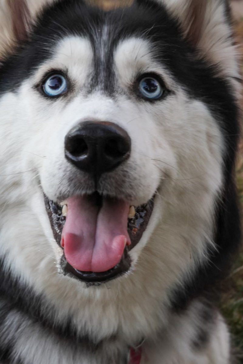 Jagger May tweet media