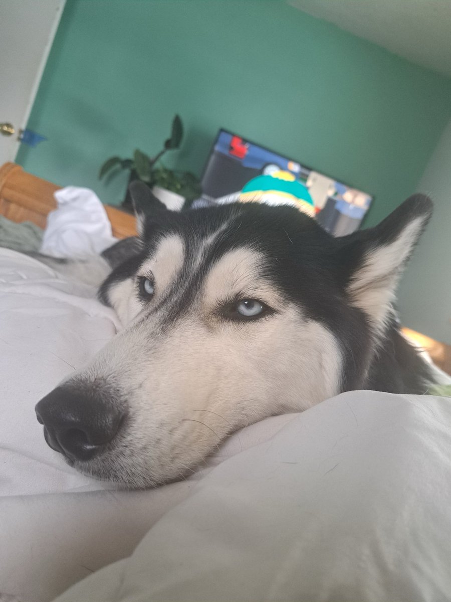 Jagger May tweet media