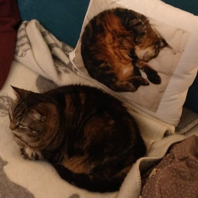 Reider Payne tweet media