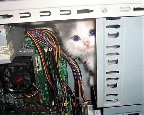 "Helo i am the new tech support"