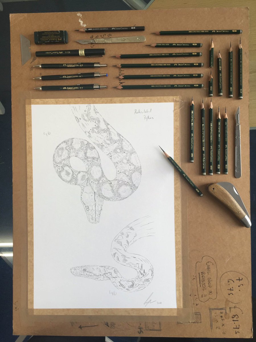 BRillustrations's tweet photo. Sketching sneks 

https://t.co/K3JX2Y4Y9X https://t.co/U2FifLoXJi