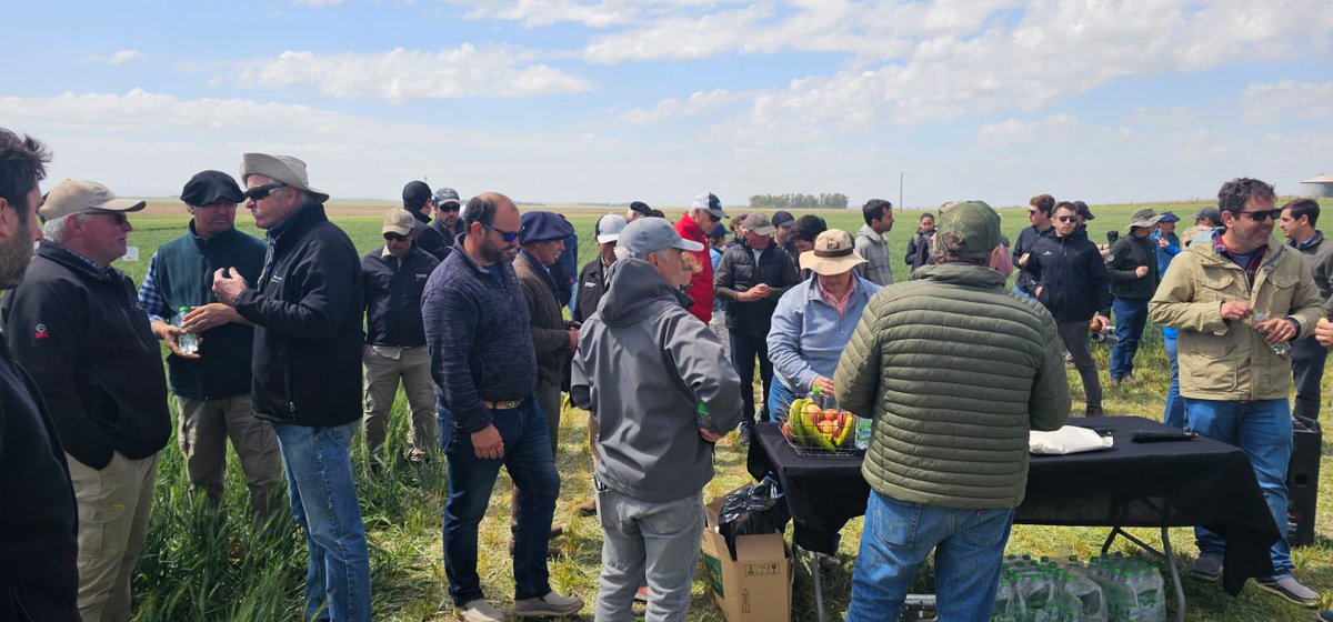 BuckSemillas's tweet photo. 🚜✨ ¡Jornada técnica junto a @CREASudOeste #Geaso! Nos reunimos para intercambiar conocimientos y fortalecer el desarrollo💪
En Buck Semillas creemos en el poder de la colaboración para impulsar un futuro más productivo y sostenible. 🌱 https://t.co/E4eY0EmXJ8