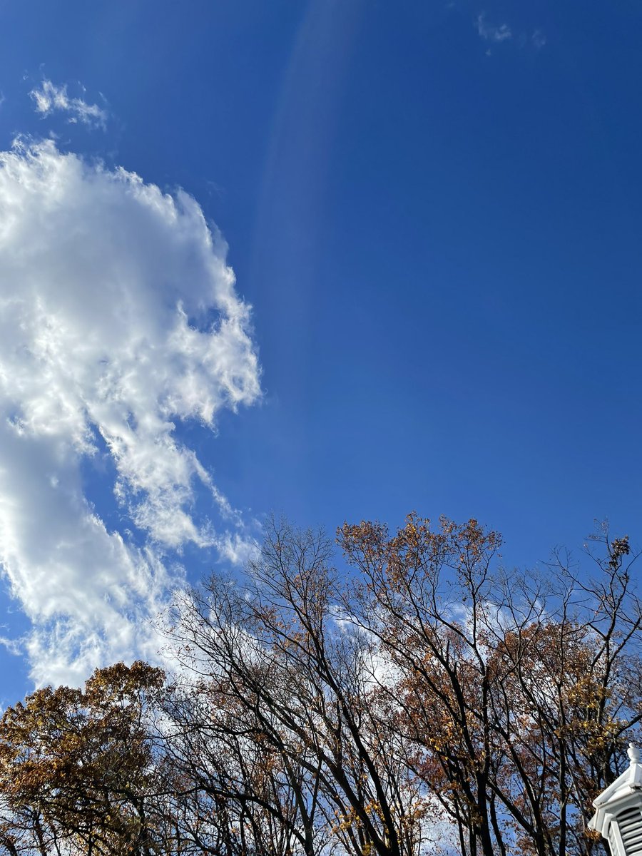 GingerBreggin's tweet photo. This is a blue sky. And it is the Friday of a holiday weekend. Veterans Day is on Monday. So are the chemtrail pilots taking the weekend off again? #in2thinair https://t.co/9htRdelczs