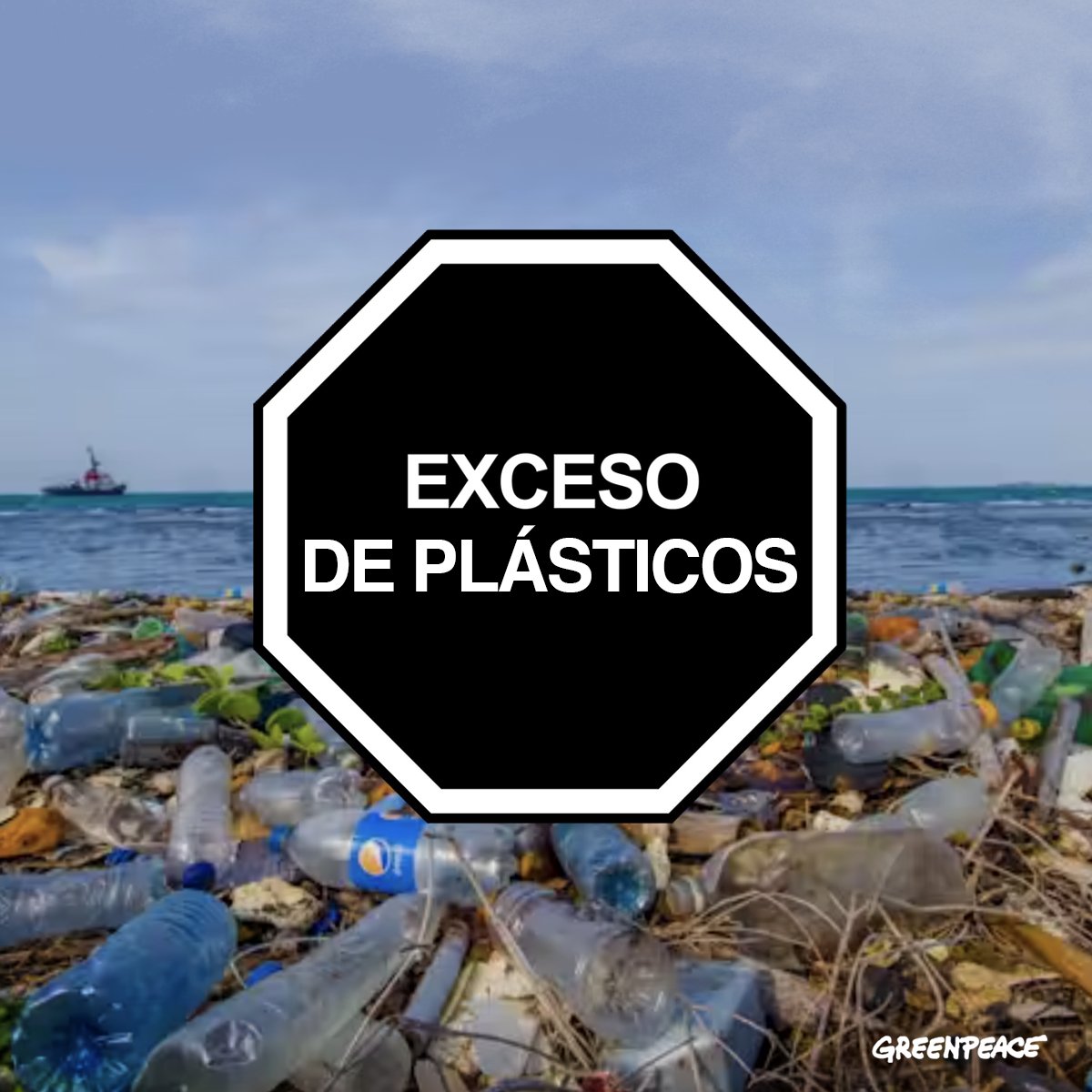 Greenpeace México tweet media