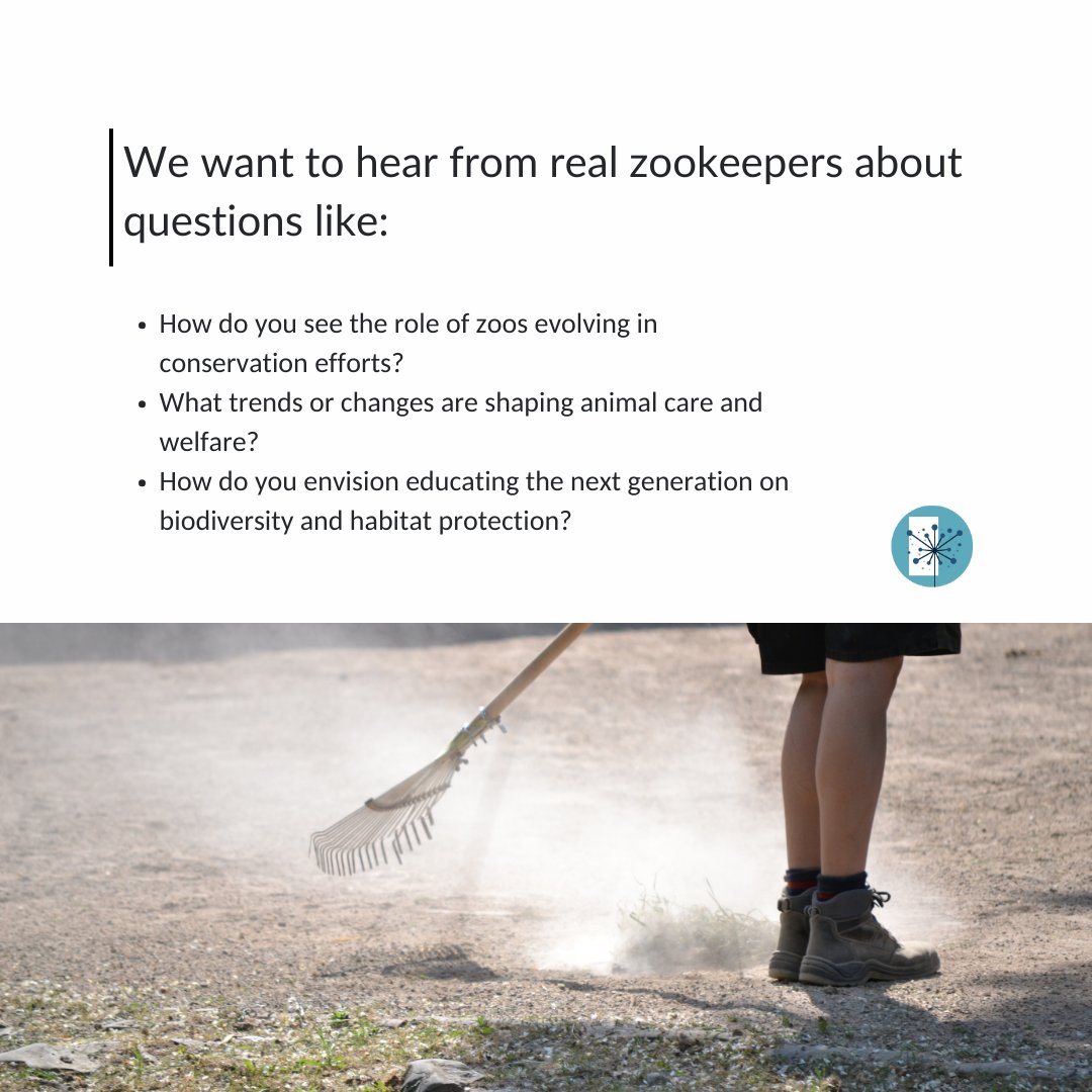 Using Foresight tweet media