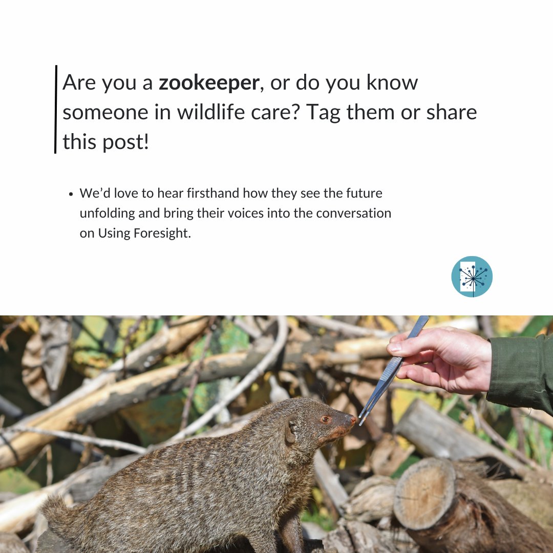 Using Foresight tweet media