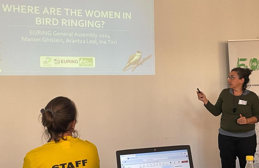 Anillamiento_SEO tweet media