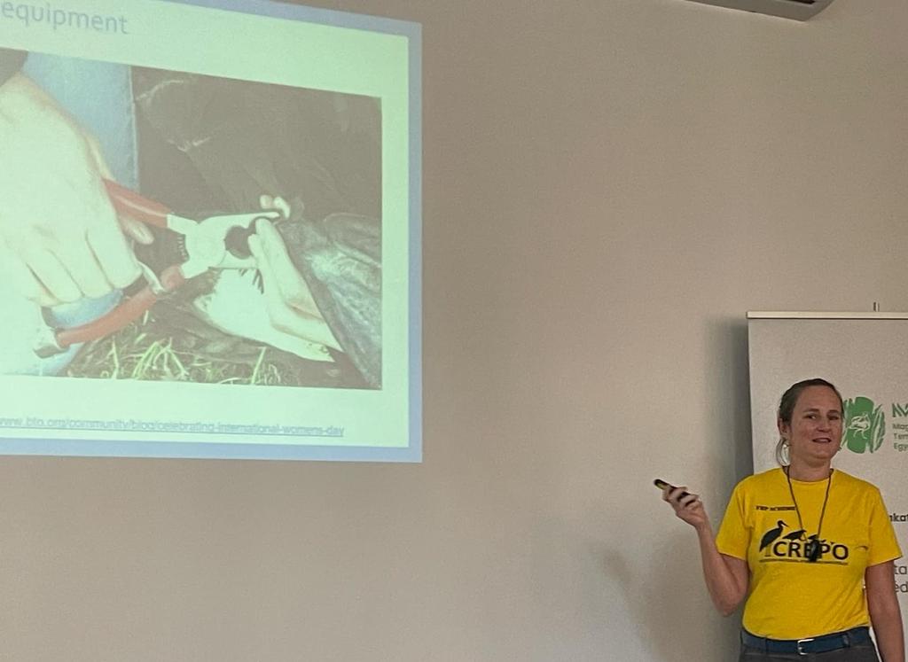 Anillamiento_SEO tweet media