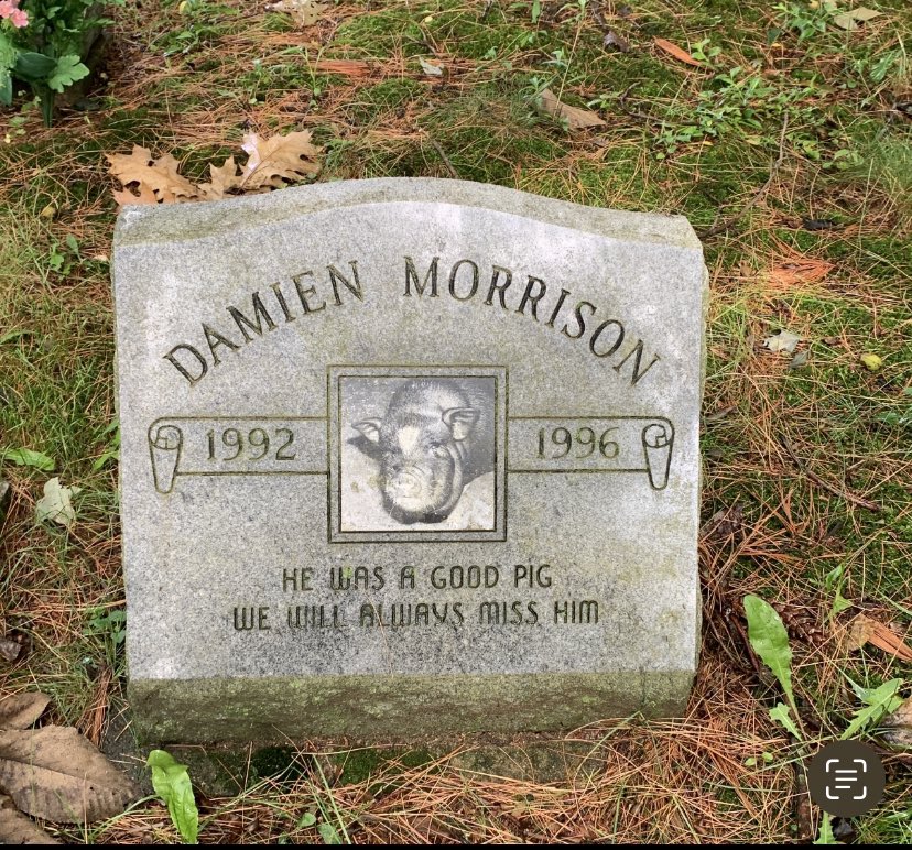 <a href="/SafeCemeteries/">Memorial Restoration & Safety</a> <a href="/karenmahoney25/">Karen Mahoney</a> <a href="/IdaColumite/">Robin Partridge</a> <a href="/TraciRylands/">Adventures in Cemetery Hopping</a> <a href="/NecroTourist/">Necro Tourist</a> <a href="/mynewbrunswick/">My New Brunswick 🇨🇦</a> <a href="/newtonian124/">Shawn Seven</a> <a href="/EagleGranite1/">Eagle Granite</a> <a href="/WoodsideInc/">Alison@Woodside Granite Industries Inc</a> <a href="/UnusualGraves/">Tombstones with Unusual Fonts</a> @LCottonPhoto He was a good pig
