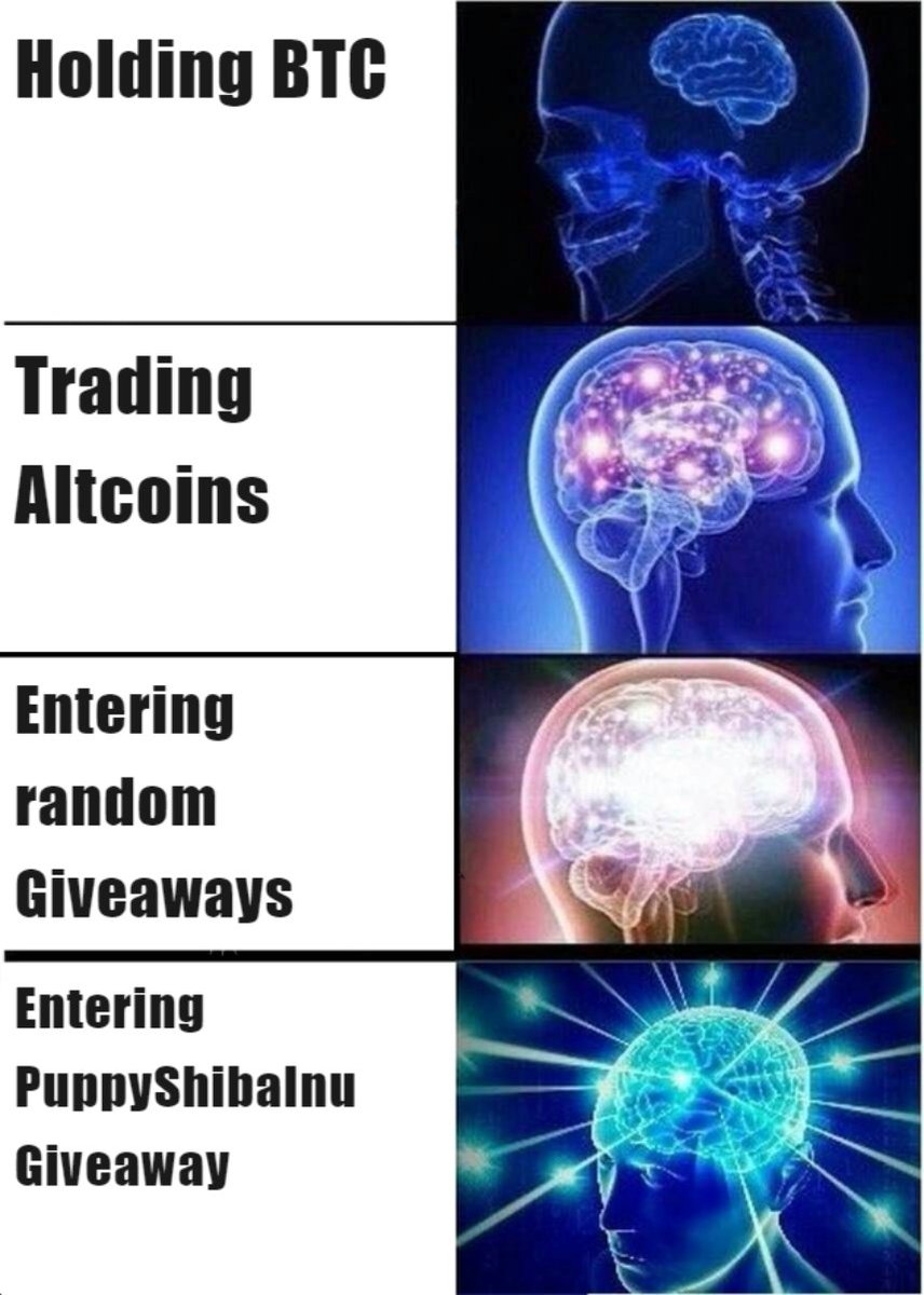 PuppyShiba38085's tweet photo. ๐ Choose your path to greatness... or just the cutest token! ๐พ
๐คฏ Which one are you? ๐
1๏ธโฃ Holding BTC ๐ง
2๏ธโฃ Trading Altcoins ๐ก
3๏ธโฃ Entering random Giveaways ๐ฅ
4๏ธโฃ Entering the PuppyShibaInu Giveaway ๐๐
#PuppyShibaInu #CryptoGiveaway #ShibaCommunity https://t.co/IqHI5uXhjq