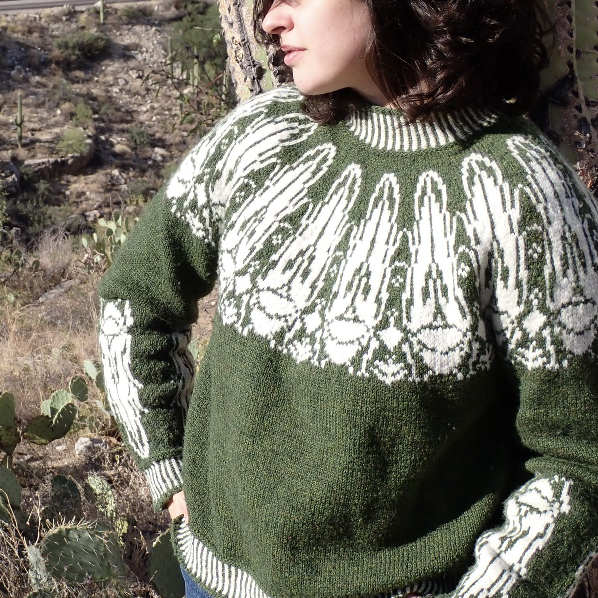 the_leafhopper's tweet image. Published my Leafhopper Sweater on ravelry today! Lots of fun leafhopper facts in this…and $1 from every purchase going to the UAIC to help maintain the wonderful collection here.