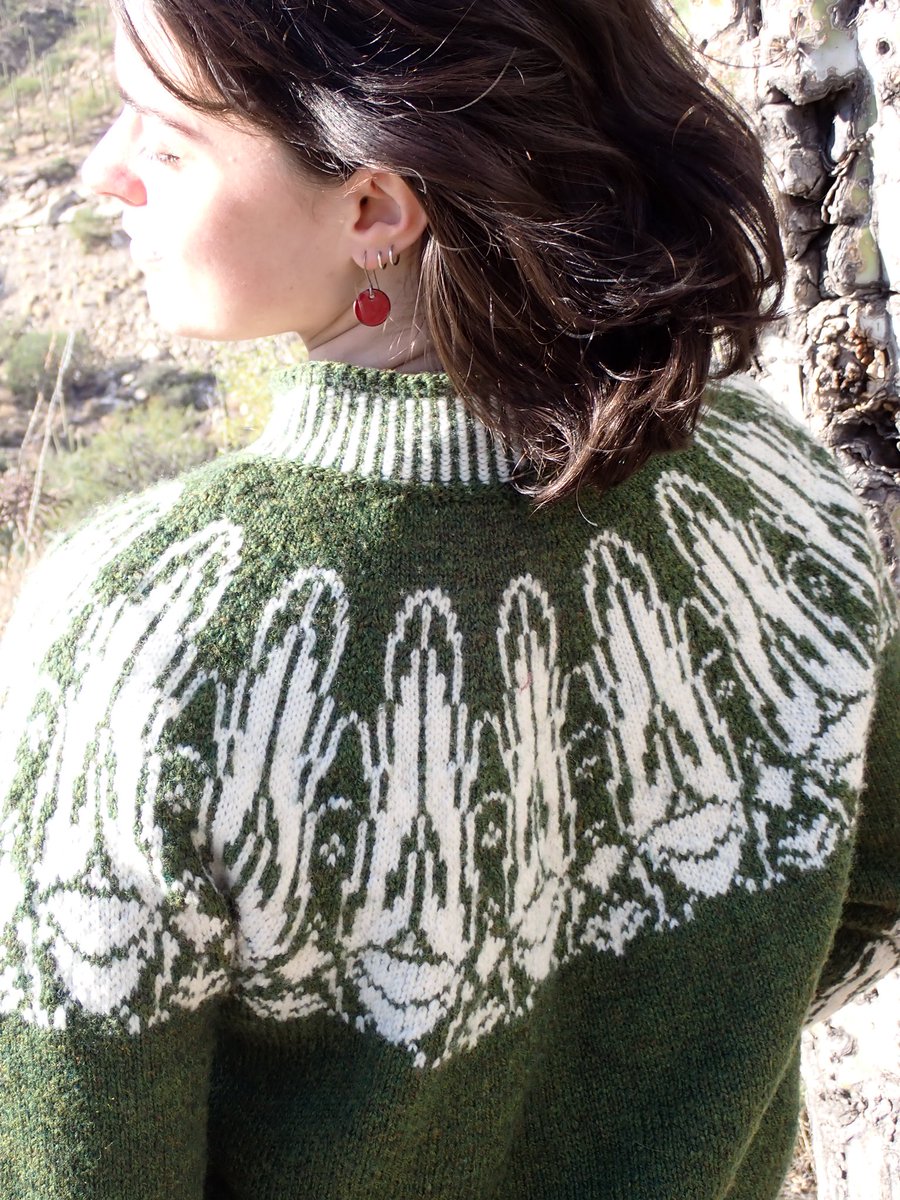 the_leafhopper's tweet image. Published my Leafhopper Sweater on ravelry today! Lots of fun leafhopper facts in this…and $1 from every purchase going to the UAIC to help maintain the wonderful collection here.
