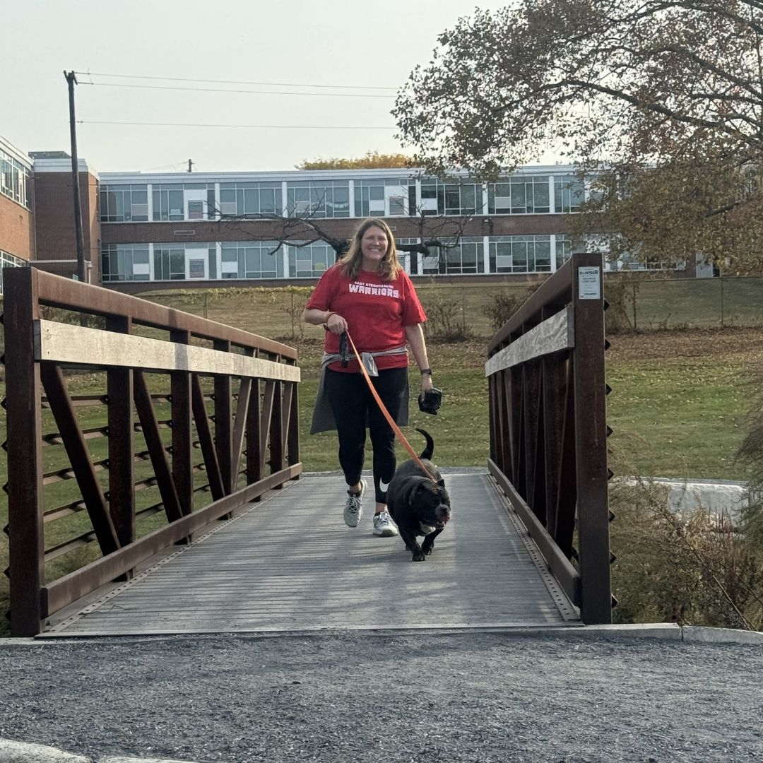 JaindlCompanies's tweet photo. Several team members recently volunteered at The Lehigh Valley Humane Society!                         

Some walked dogs while kennels were being cleaned and others cared of cats. It was paw-some afternoon! 🐾 https://t.co/4Agxy1WFK1