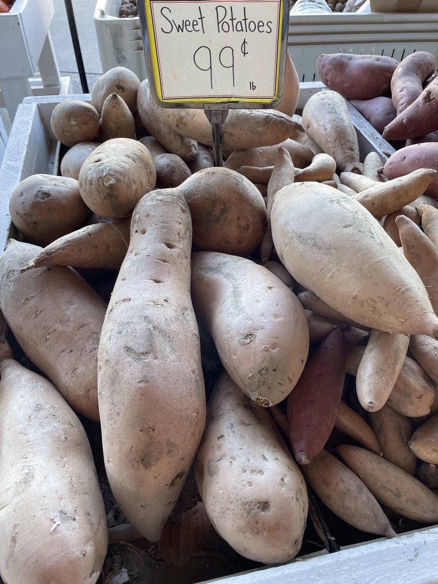 Coghlanja's tweet photo. Thinking of you Jorts while at the farmers’ market. ⁦@JortsTheCat⁩ https://t.co/TrGAR19qL0