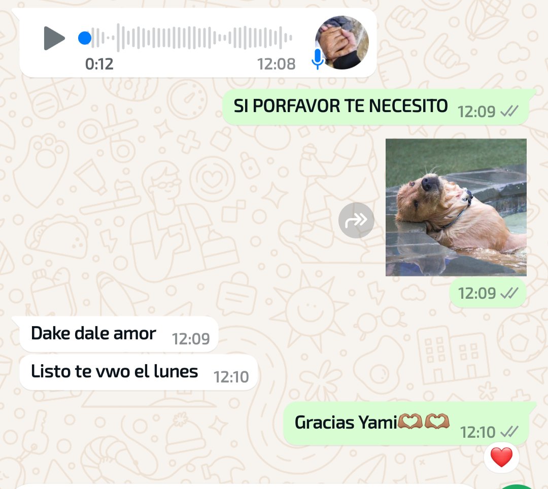juli_martinez93's tweet photo. Ojalá alguien me necesite como yo a mí coach a esta altura del año https://t.co/JiyONHn9sV