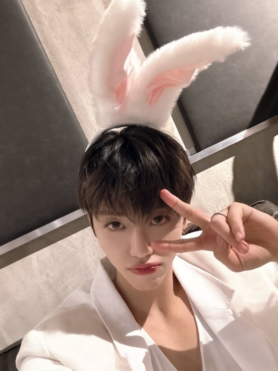 뿅 tweet media