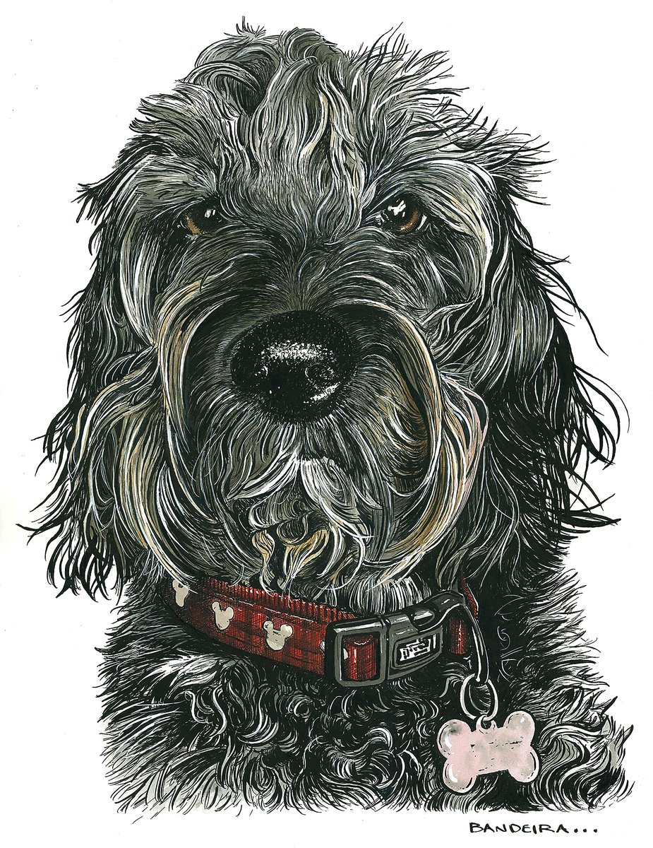 GraemeBandeira's tweet photo. On with a horse commission today for a Christmas gift. If you want your dog, cat, horse or leopard drawing then get in touch. These make great presents for loved ones! https://t.co/8UKNdgETPO