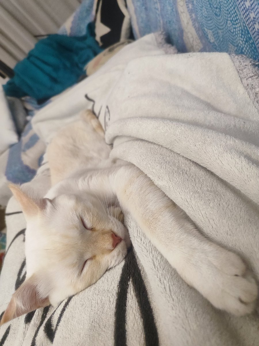 Dudo que pueda moverme en horas...