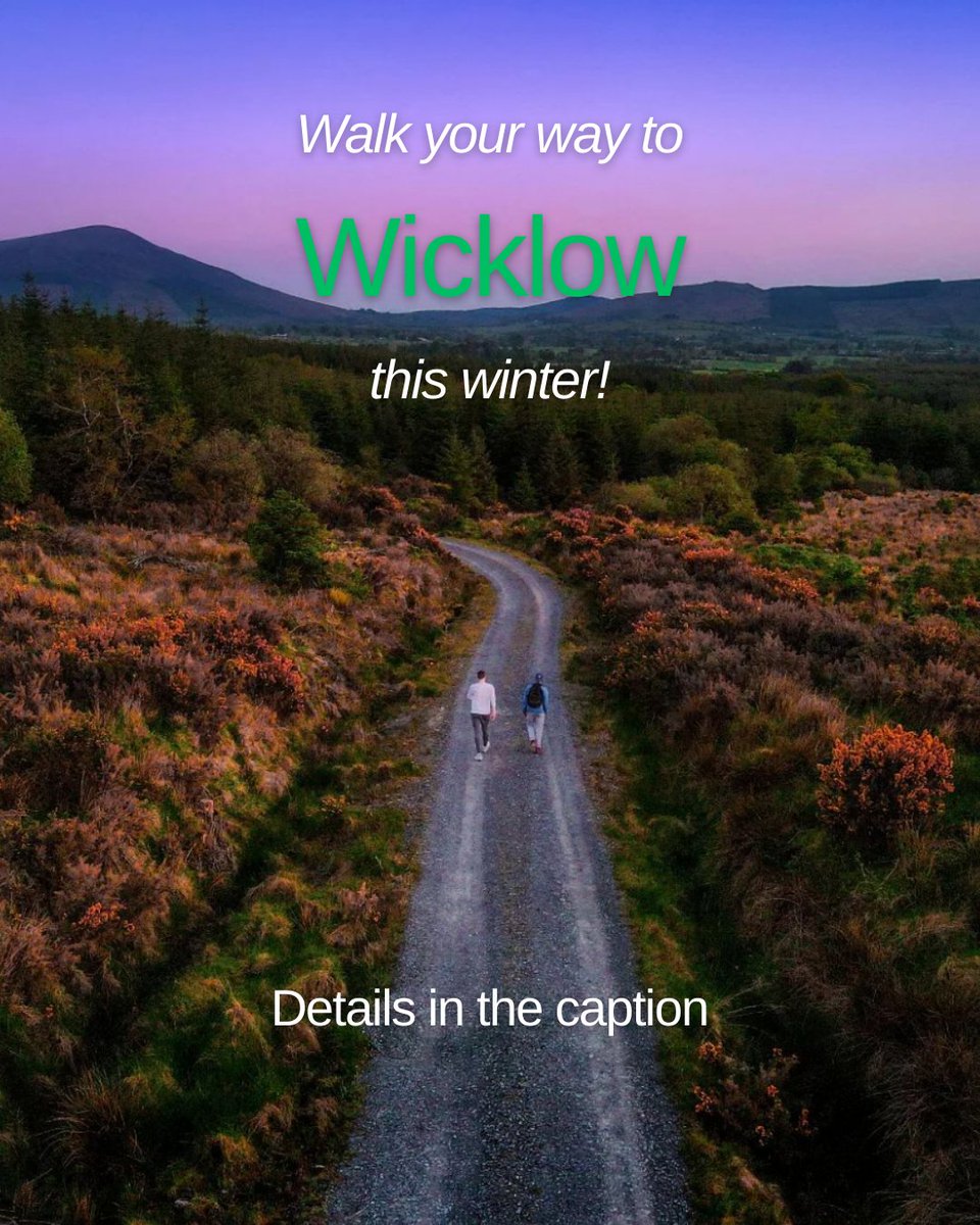 Discover Ireland tweet media