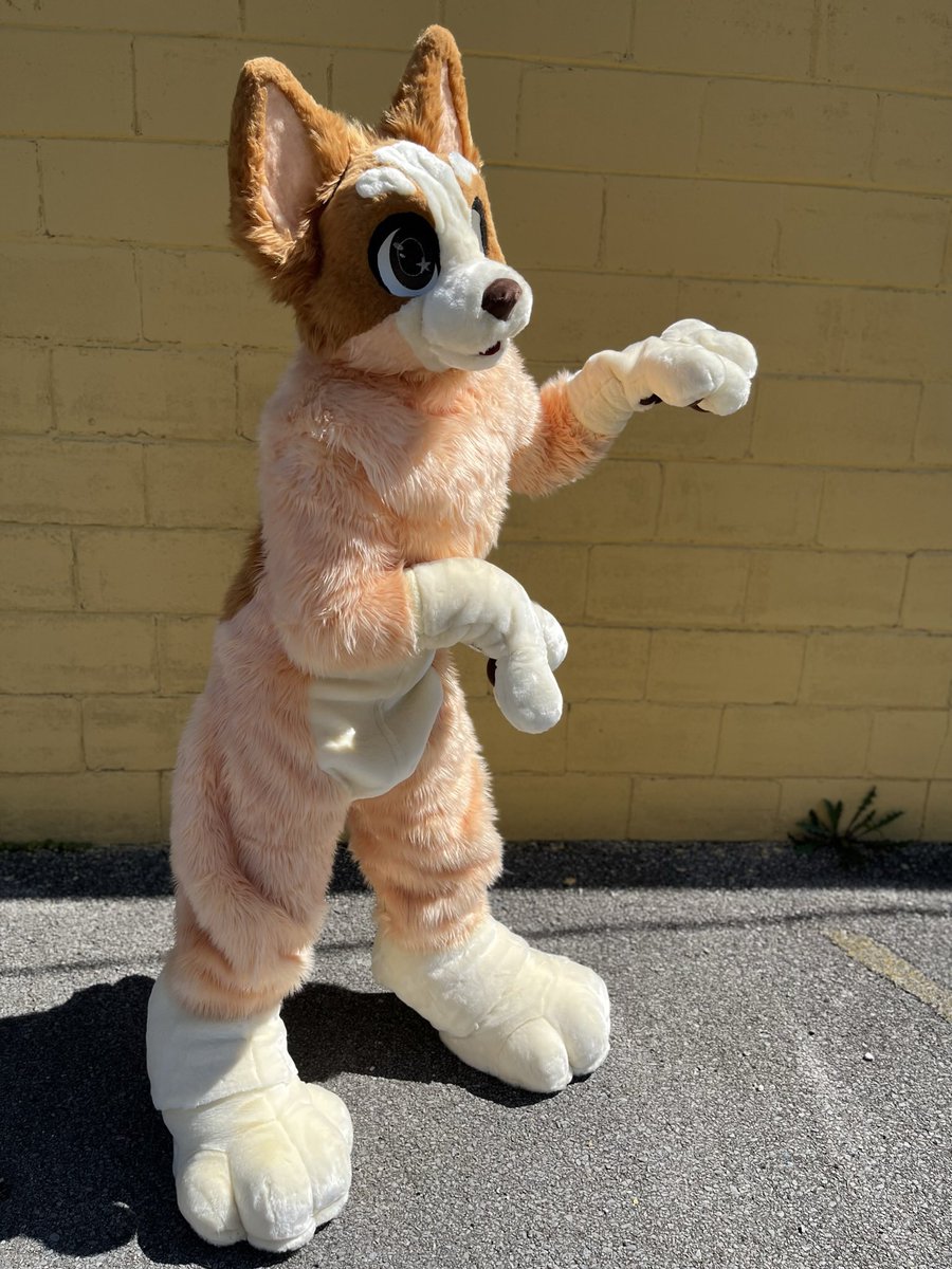 Roarrr!!! 🫶🤍✨💚✨🫶