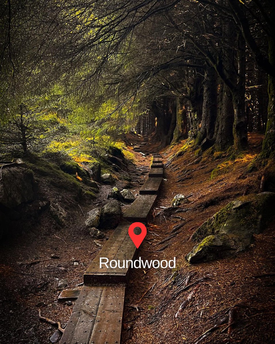 Step into #Wicklow this winter &amp; explore its top trails 👣

🌲 Avondale Forest Park
🏞️ Enniskerry
🌿 Roundwood

Full details: bit.ly/3Aoj729

Always check the weather &amp; prep before heading out🌧️
 📸 mrshaneoneill irishdroneadventures niamho79 smartie.9
#KeepDiscovering