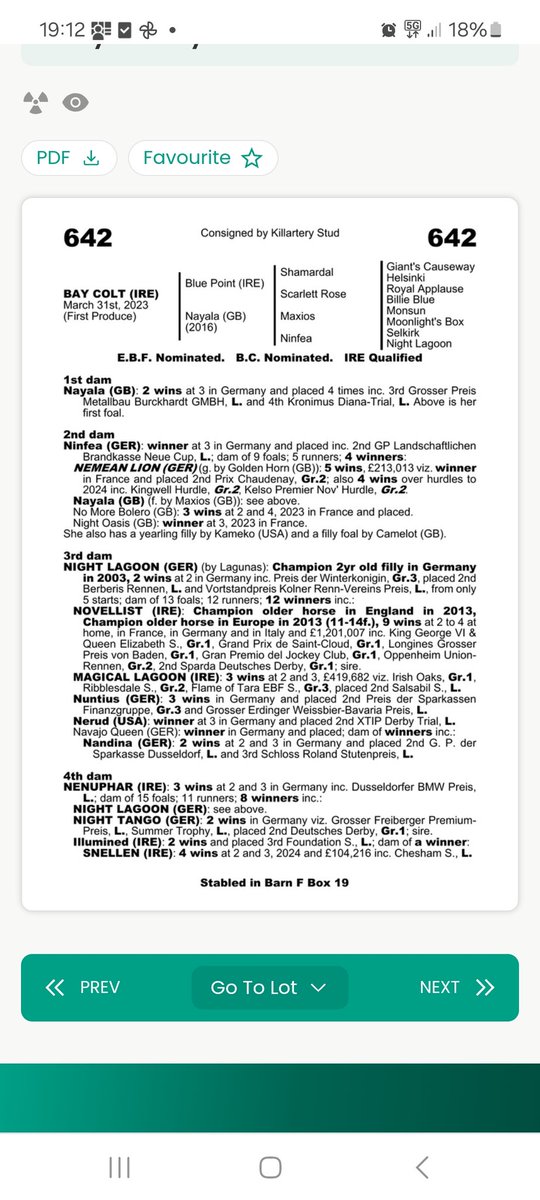 killarterystud's tweet photo. As small breeders all you can hope is for your stock to find a proper hotel for training, couldn't be more happy to see our @DarleyEurope Bluepoint colt sell to the shred @ptwomeyracing at the @Goffs1866 Autumn sale. He looks well bought we hope he's lucky. https://t.co/OKdEqGmE8d