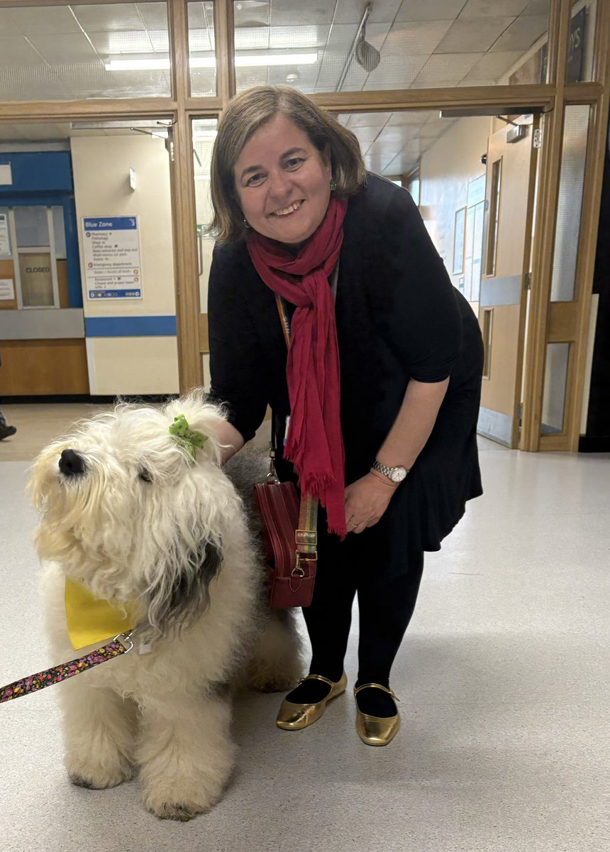 Lucy Davies💚 (@lucydaviescoo) on Twitter photo Happy end to a challenging week - meeting Rosie, one of the therapy dogs <a href="/enherts/">East and North Hertfordshire Teaching NHS Trust</a> Happy end to a challenging week - meeting Rosie, one of the therapy dogs <a href="/enherts/">East and North Hertfordshire Teaching NHS Trust</a>