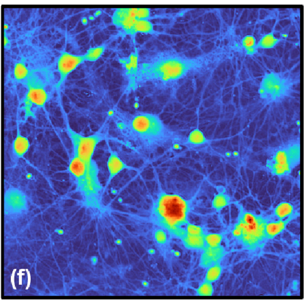 OpticaPubsGroup's tweet image. Via #OPG_JOSA_A: Visualizing the fine structure and dynamics of living cells with temporal polychromatic digital holographic microscopy bit.ly/4fdWQmy #QuantitativePhaseImaging #Holography @CERVO_ULaval