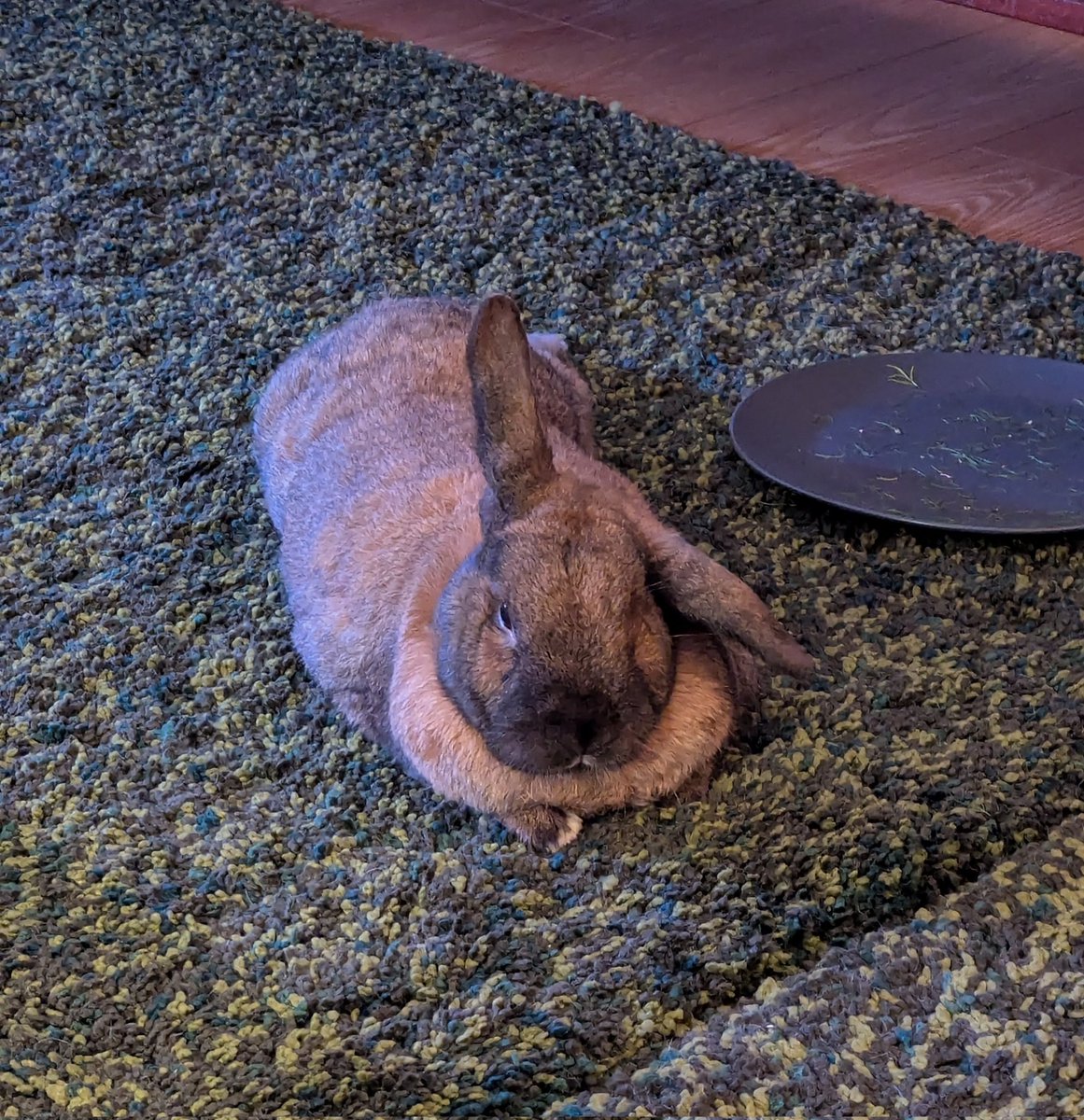 Emma (@emmalawson) on Twitter photo 