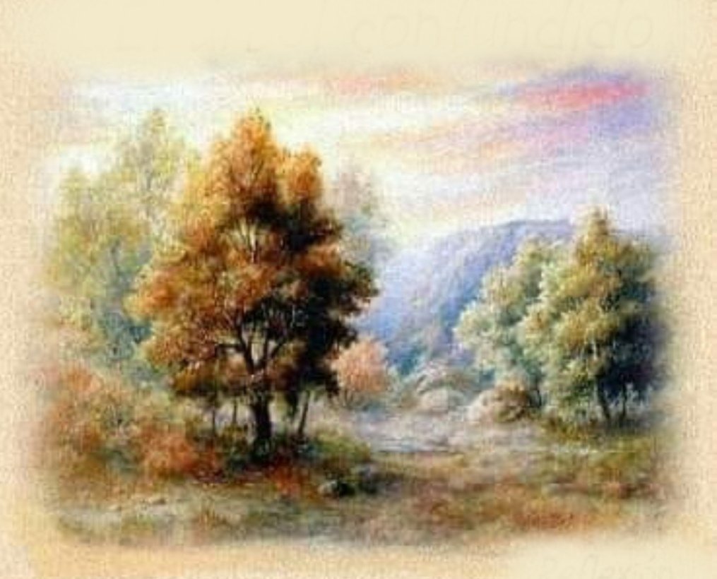 micuartavida's tweet photo. 7. admirado y respetado por todos. Y sólo entonces el jardín fue completamente feliz.

Sólo nosotros podemos saber quiénes somos...

Dedicado a aquellos que son lo que otros querían que fueran.

(De la red). https://t.co/ps3P1TzBia