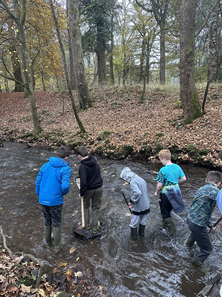 H Tanner tweet media