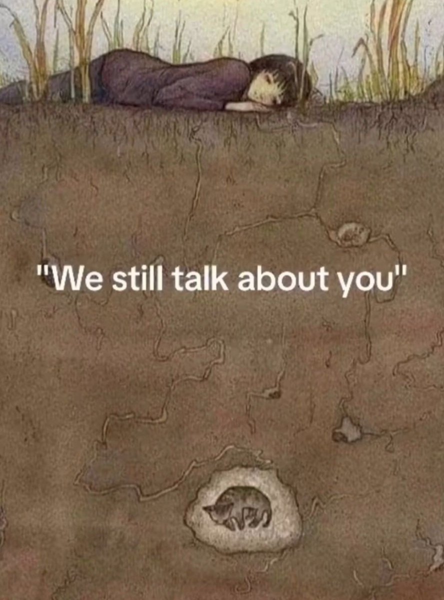 This hits me right in the feels😿