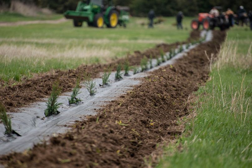 NebraskaNRDs's tweet image. Nebraska's NRDs are now taking orders for spring tree seedlings! Learn more: nrdnet.org/tree-program
#Trees #Treeplanting #Windbreaks #Conservation