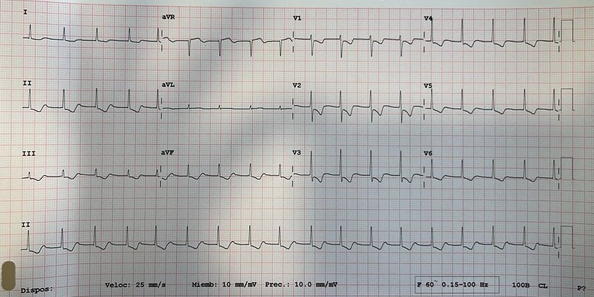 Paco Dardón tweet media