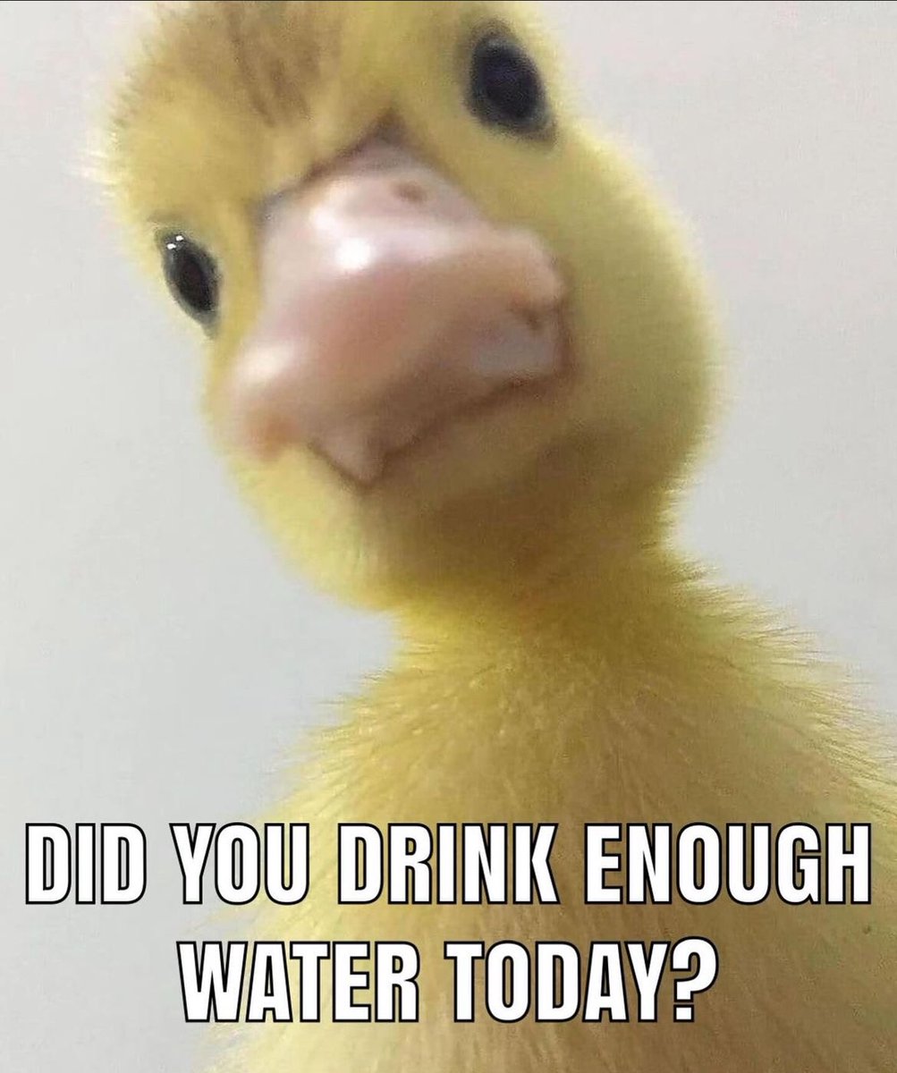 phpSoftware's tweet image. 