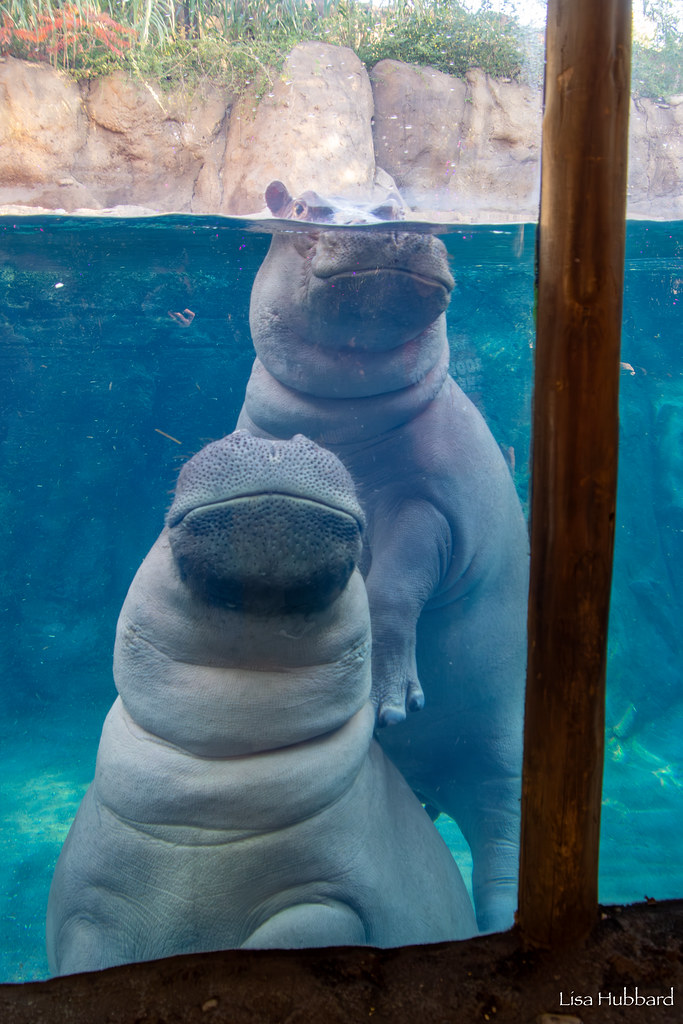 Fritz and Fiona! 🤩