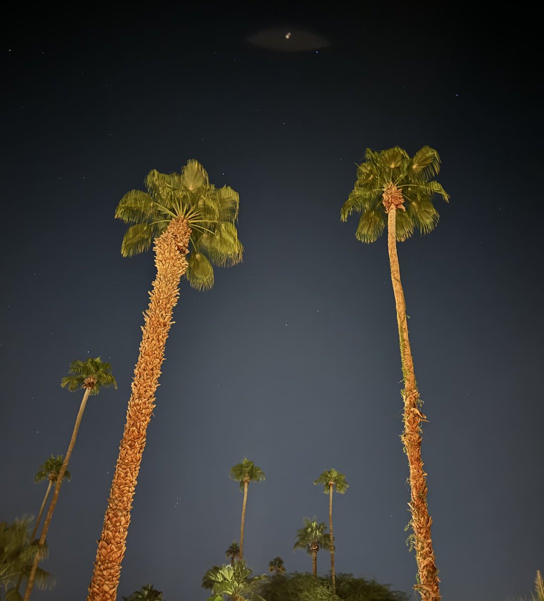 Elf Lab 🇺🇦🏳️🌈🏳️⚧️⚧️👊🏾👊🏽🌈🟧💊🍉💉 tweet media