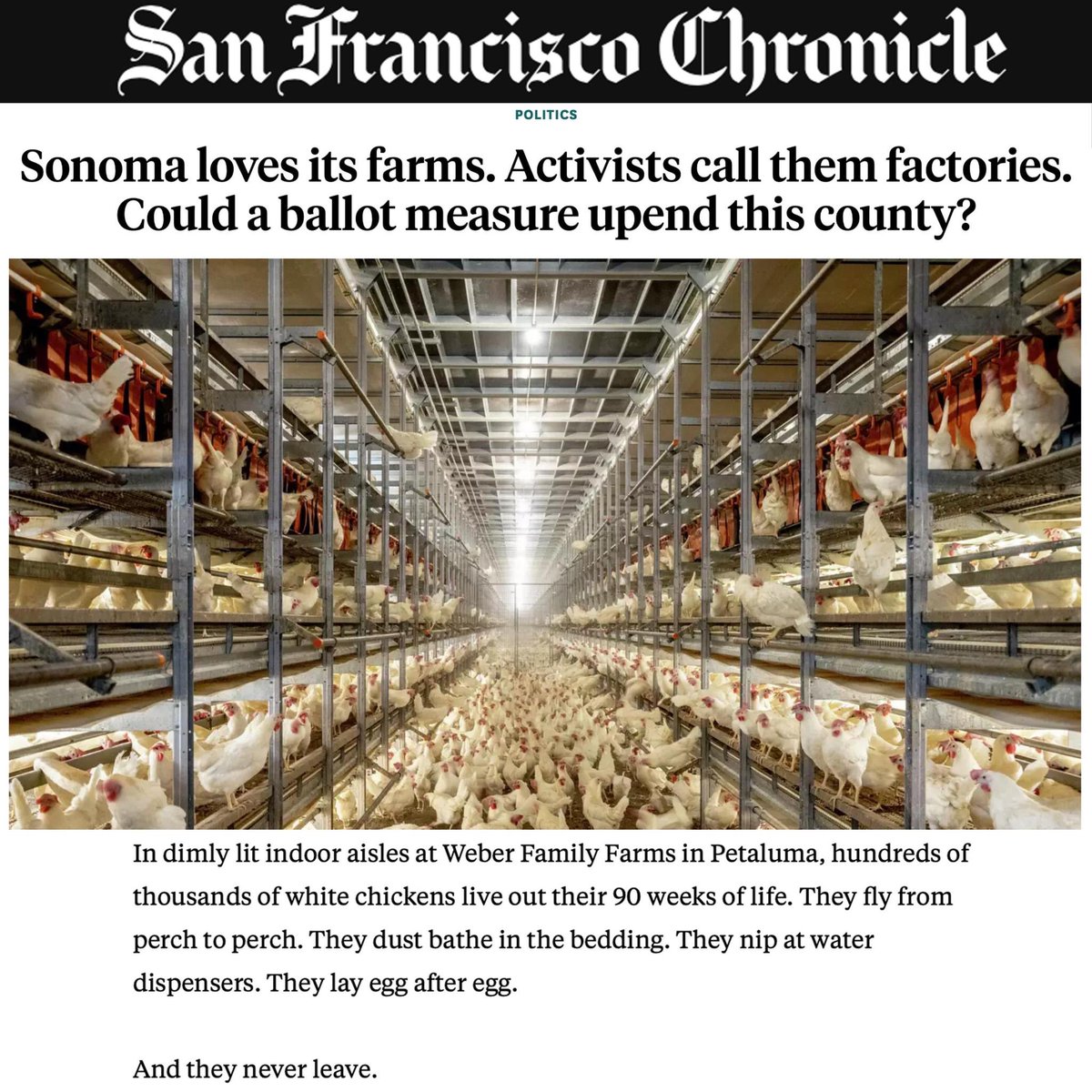 EndCAFOsSoCo's tweet photo. Here are some of our favorite press pieces from the #YesOnJ campaign which got 130+ press hits about Sonoma County factory farms, including in major, national outlets like Vox as well as local papers and leading environmental news organizations
#StopFactoryFarming #ProtectAnimals https://t.co/k8Wk2pJqQv