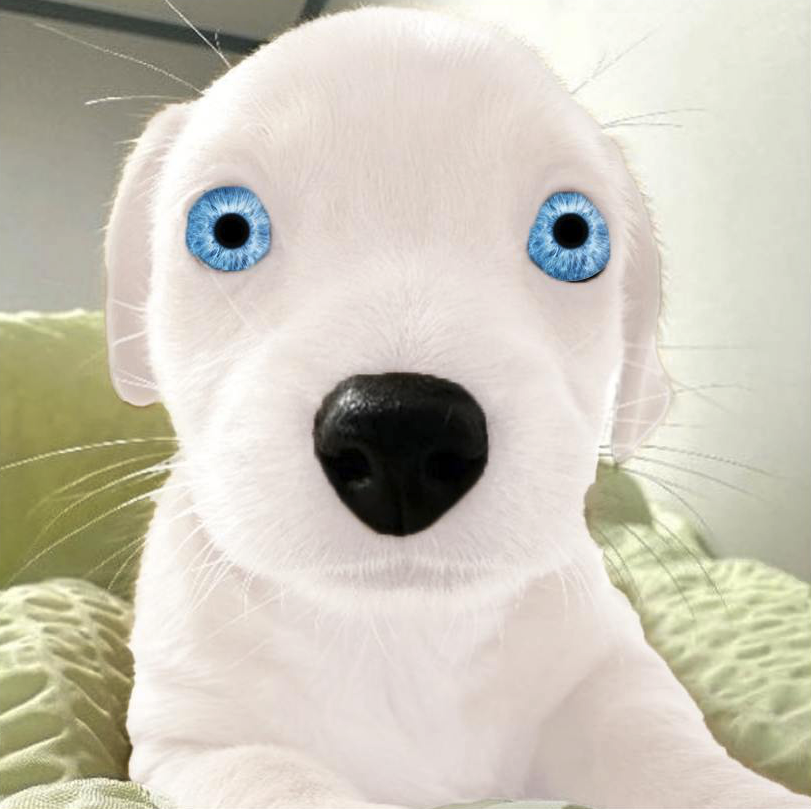 ABINO NIGGA SEASON tweet media