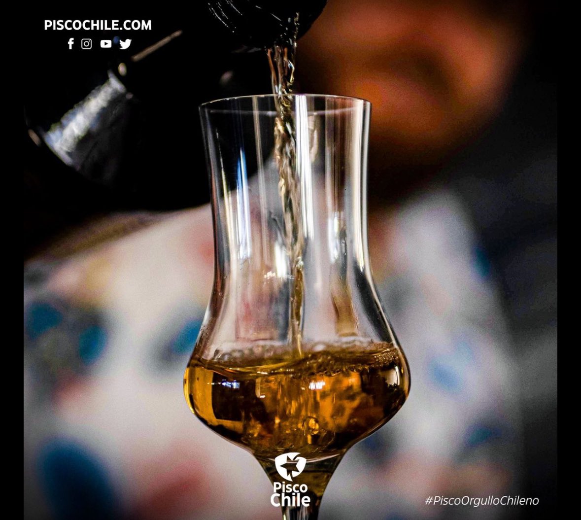 Grand Cata🍷 tweet media