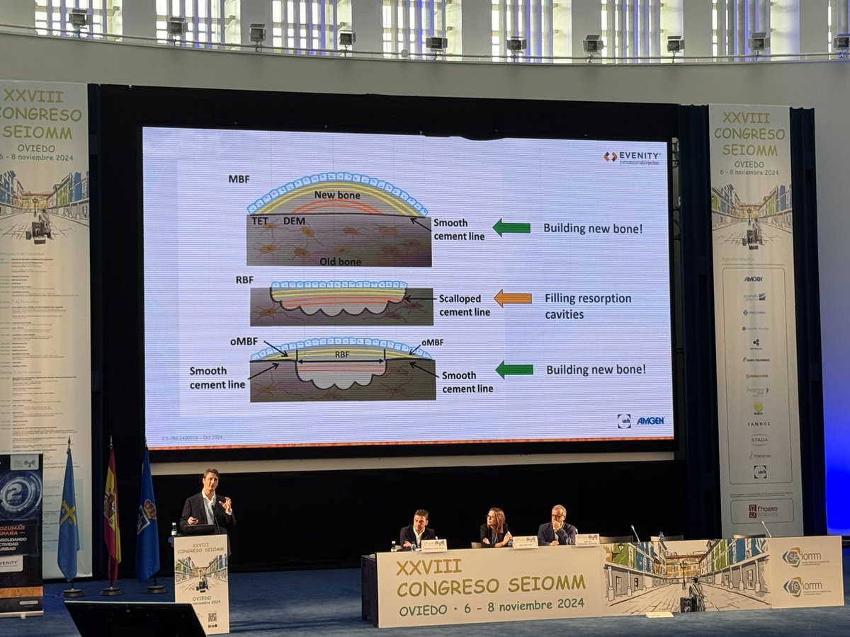 AcademyEcts's tweet photo. What a great coincidence! @ECTS_soc #Academy members @DrGiovanniAdami and @DrEndMT joining forces in the annual conference of @seiomm in Oviedo (Asturias)🇪🇸. #bone #osteoporosis #HO #MD #PhD https://t.co/gPaaFvlbYj