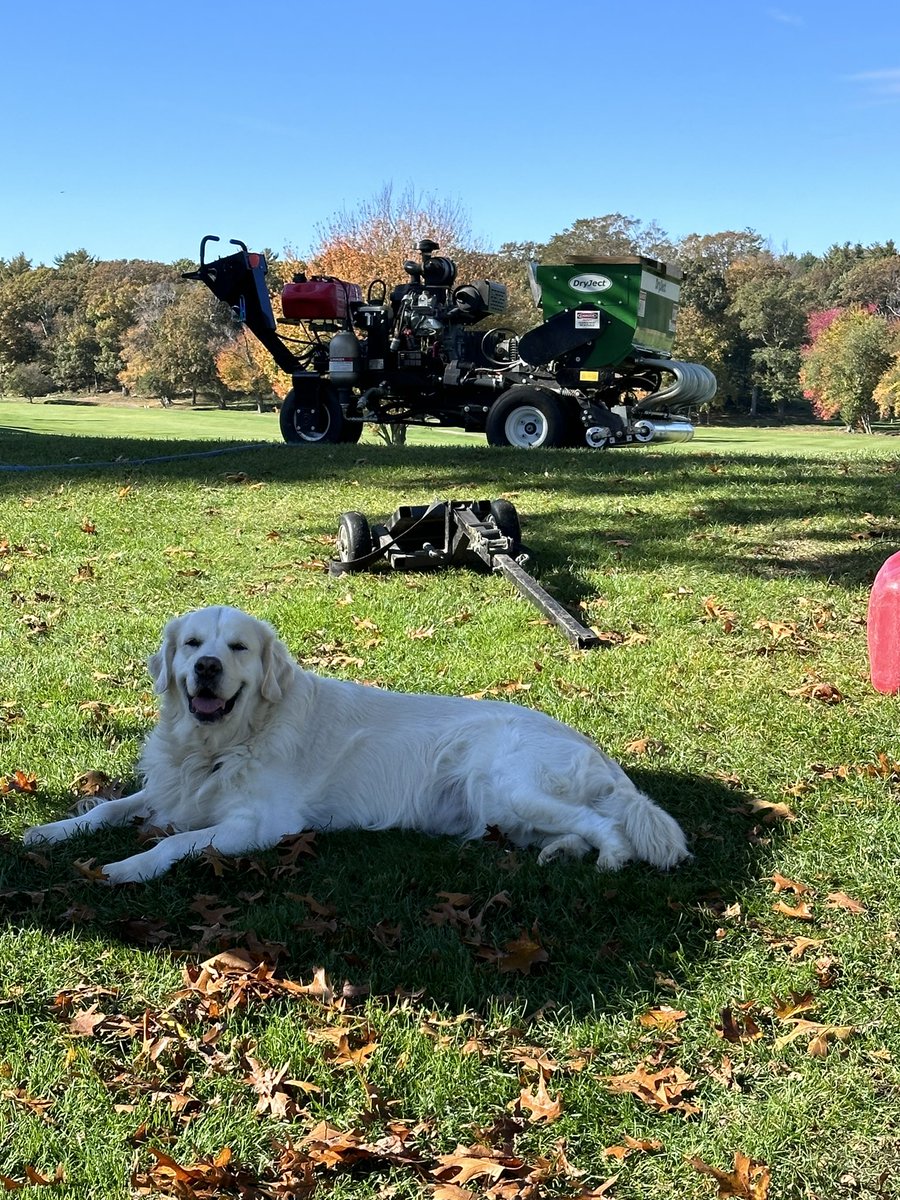 Colonial Turf tweet media