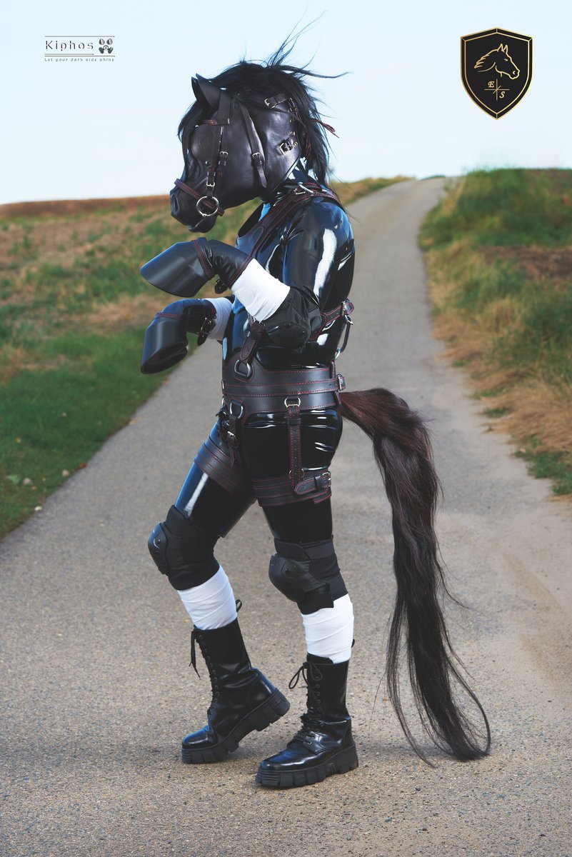 Equus Signum tweet media